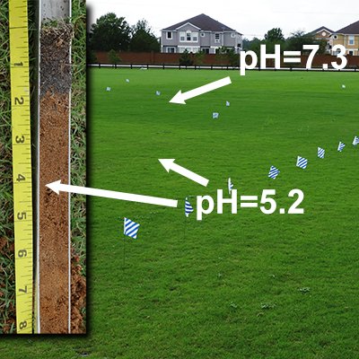 Very low pH subsoil in football field causes bermudagrass turf to be chlorotic yellow-green